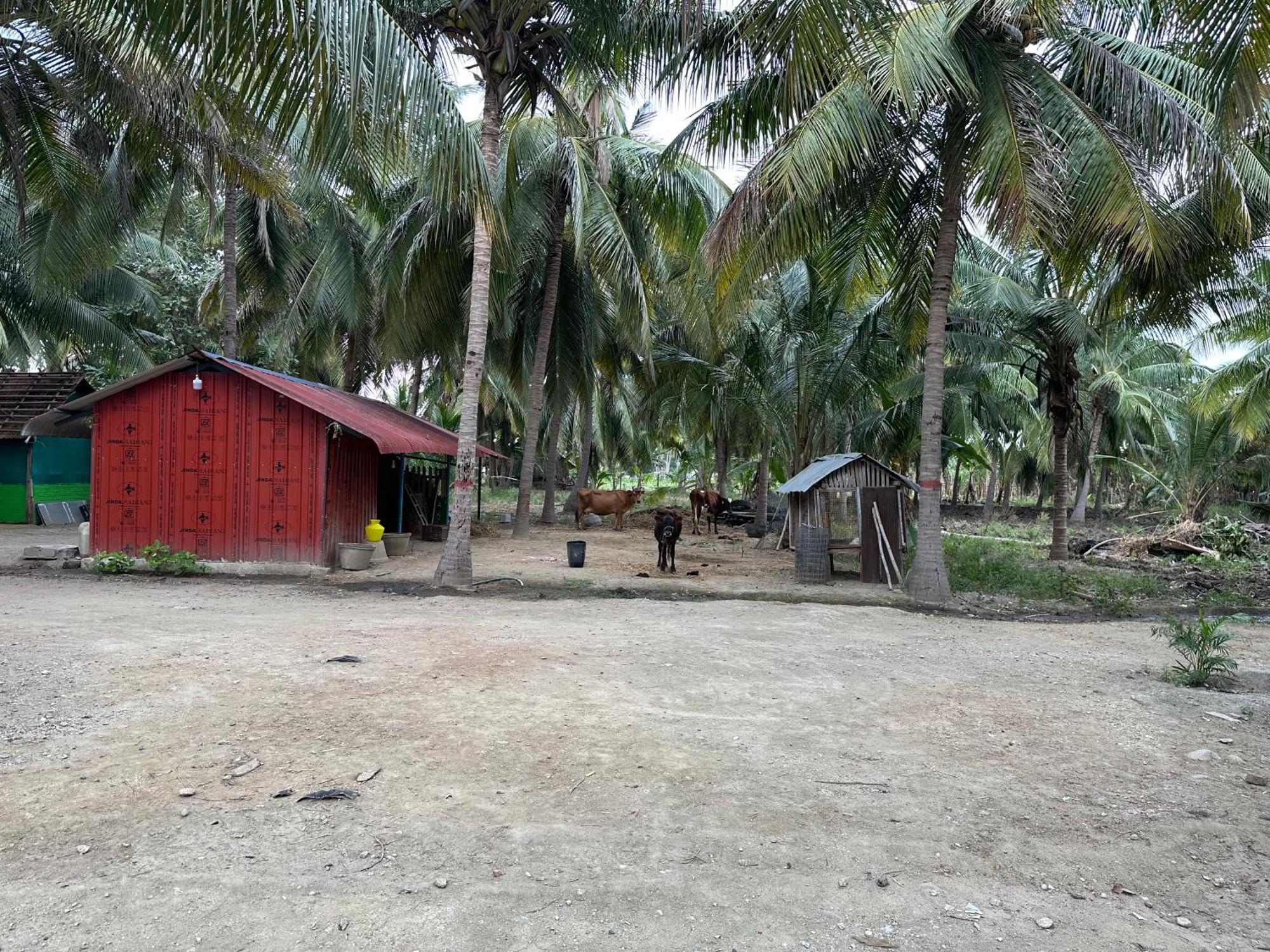 Sakthi Garden Home Stay Erode Eksteriør billede